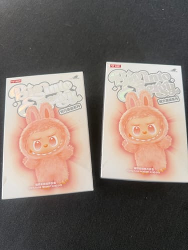 Customer photo review of Pop Mart Labubu The Monsters Big Into Energy Vinyl Plush Pendant (Single Blind Box)