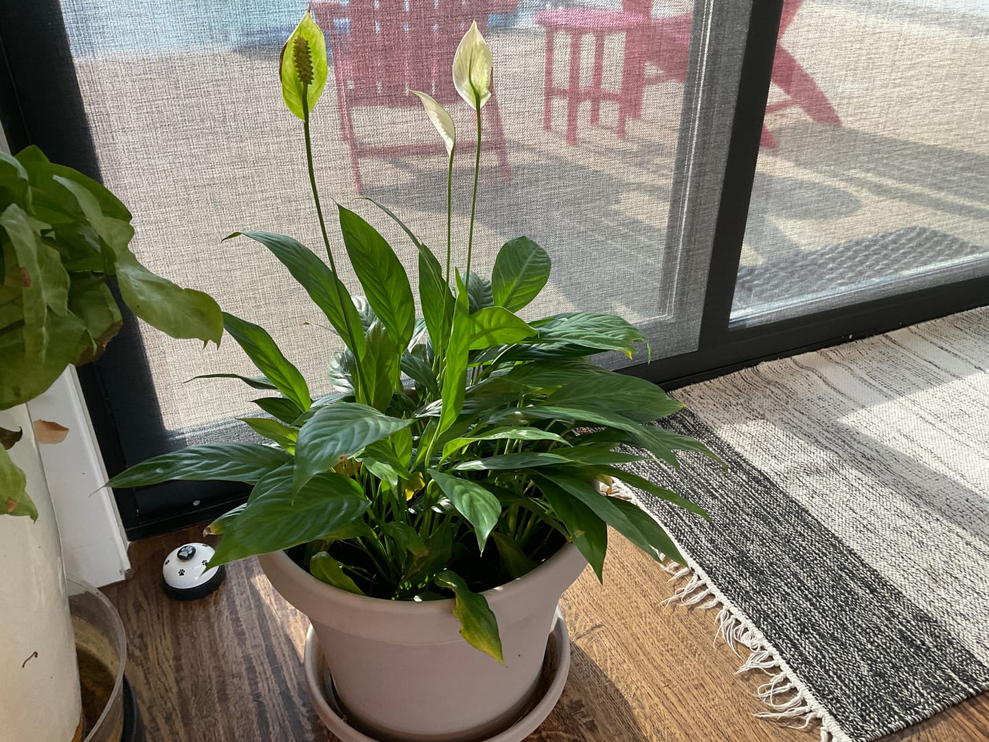Customer photo review of Elm Power Bundle