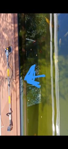 Customer photo review of 18V Twin Brush - Cordless Brushless Power Scrubber - Incl. 4.0Ah Battery & Fast Charger + 3 Brushes and Extension Pole