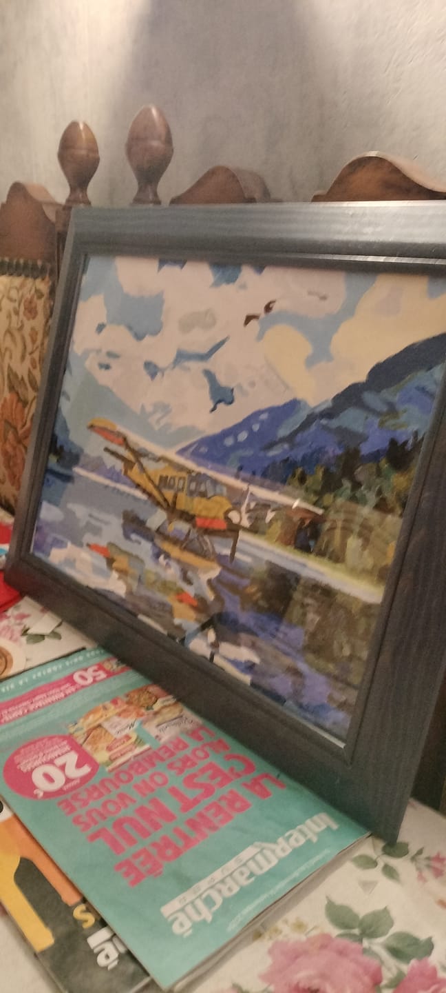 Customer photo review of Airplane Lake Landing