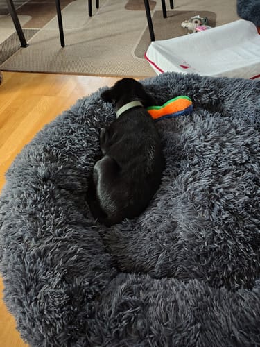 Customer photo review of CalmBed - Motverkar stress & hjälper mot ångest