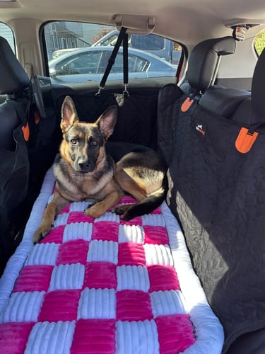 Customer photo review of RuffRover 2.0™ - Hard Bottom Dog Car Seat Protector + (FREE Dog Bed)