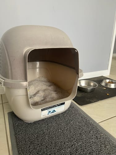 Customer photo review of 3 Month Supply - 1 Cat