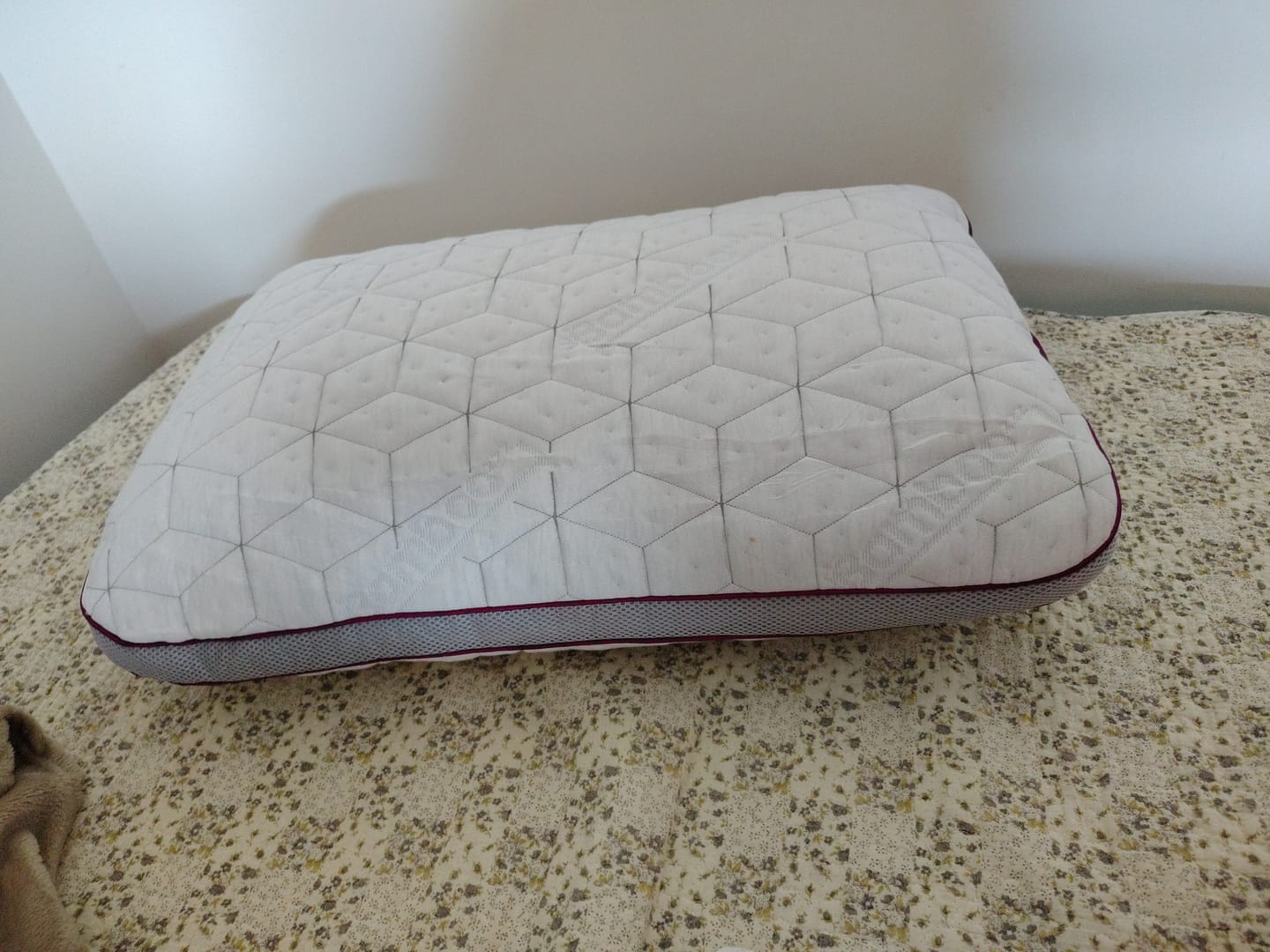 Customer photo review of Travesseiro IWS Snow® Regular 50x70cm (Oferta)