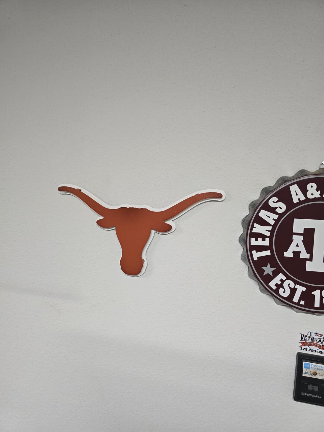 Customer photo review of Texas Longhorns  "LONGHORN" 3D Vintage Metal Wall Art