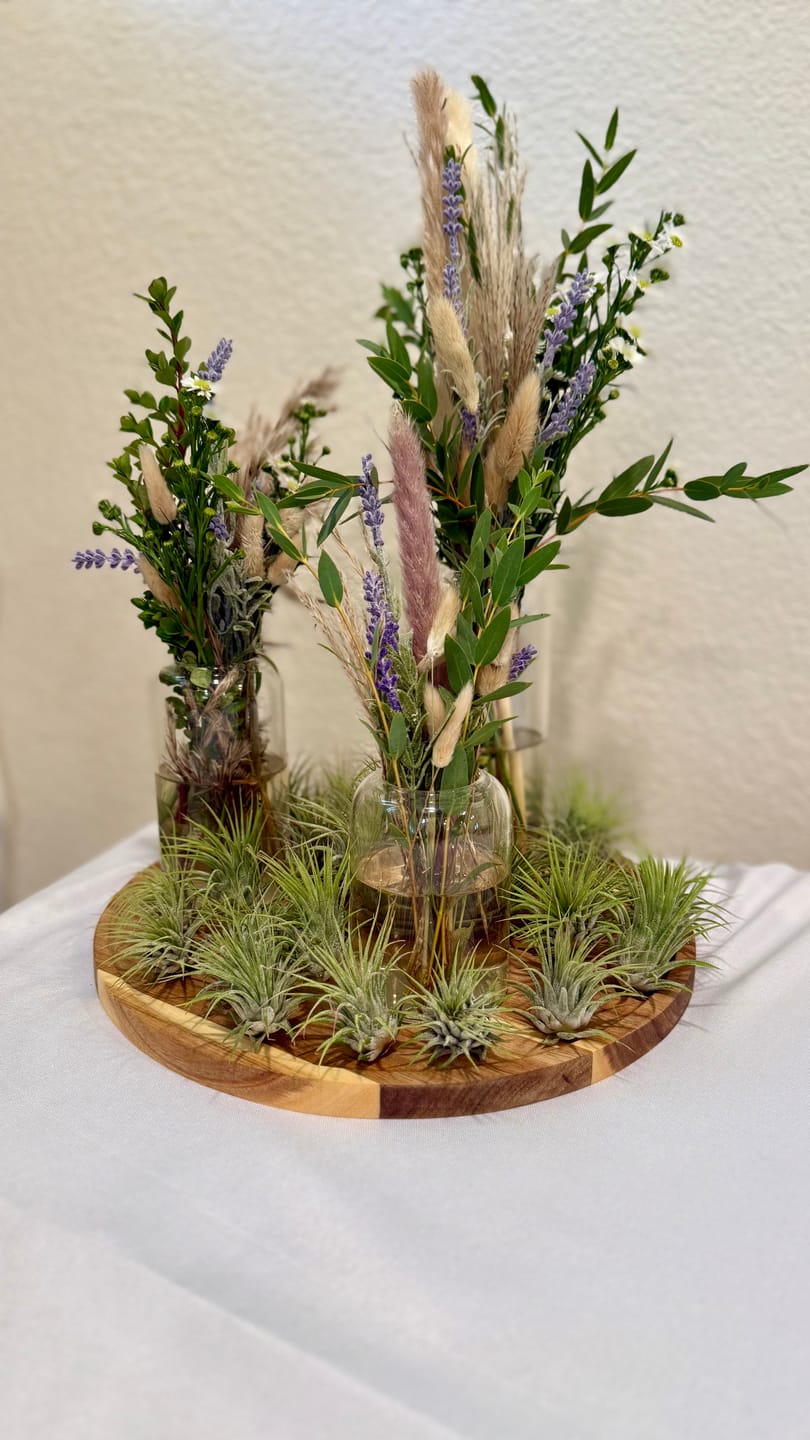 Customer photo review of Bulbosa