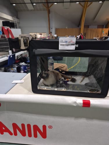 Customer photo review of Cage de transport pliable (Chat)