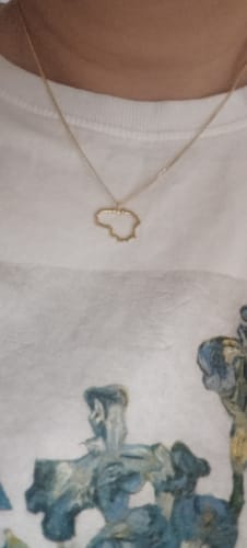 Customer photo review of Paauksuotas Sidabrinis pakabukas "Lietuva"
