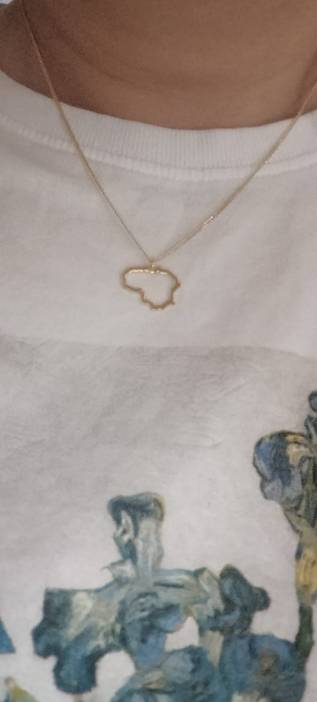 Customer photo review of Paauksuotas Sidabrinis pakabukas "Lietuva"