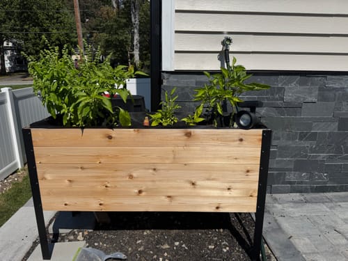 Customer photo review of 18" x 48" Raised Garden Bed - 30" TALL
