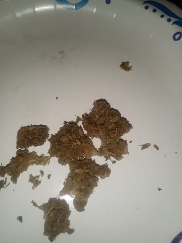 Customer photo review of THCA Flower Budget Buds