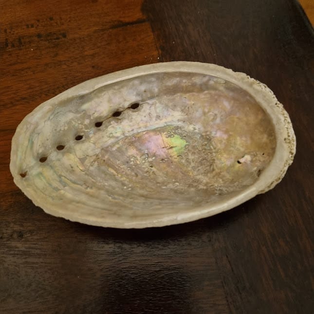 Customer photo review of Abalone naturel (Ormeau)