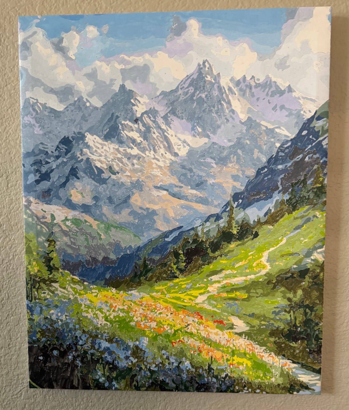 Customer photo review of Mountain Path