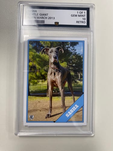 Customer photo review of Custom Graded Card