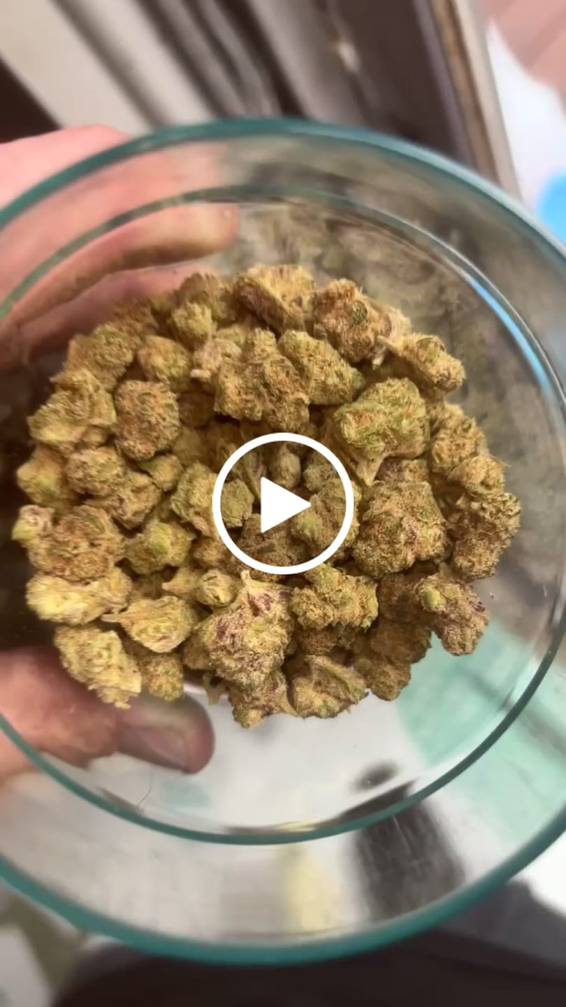 Customer video review of Wedding Cake - Greenhouse THCA (Smalls)