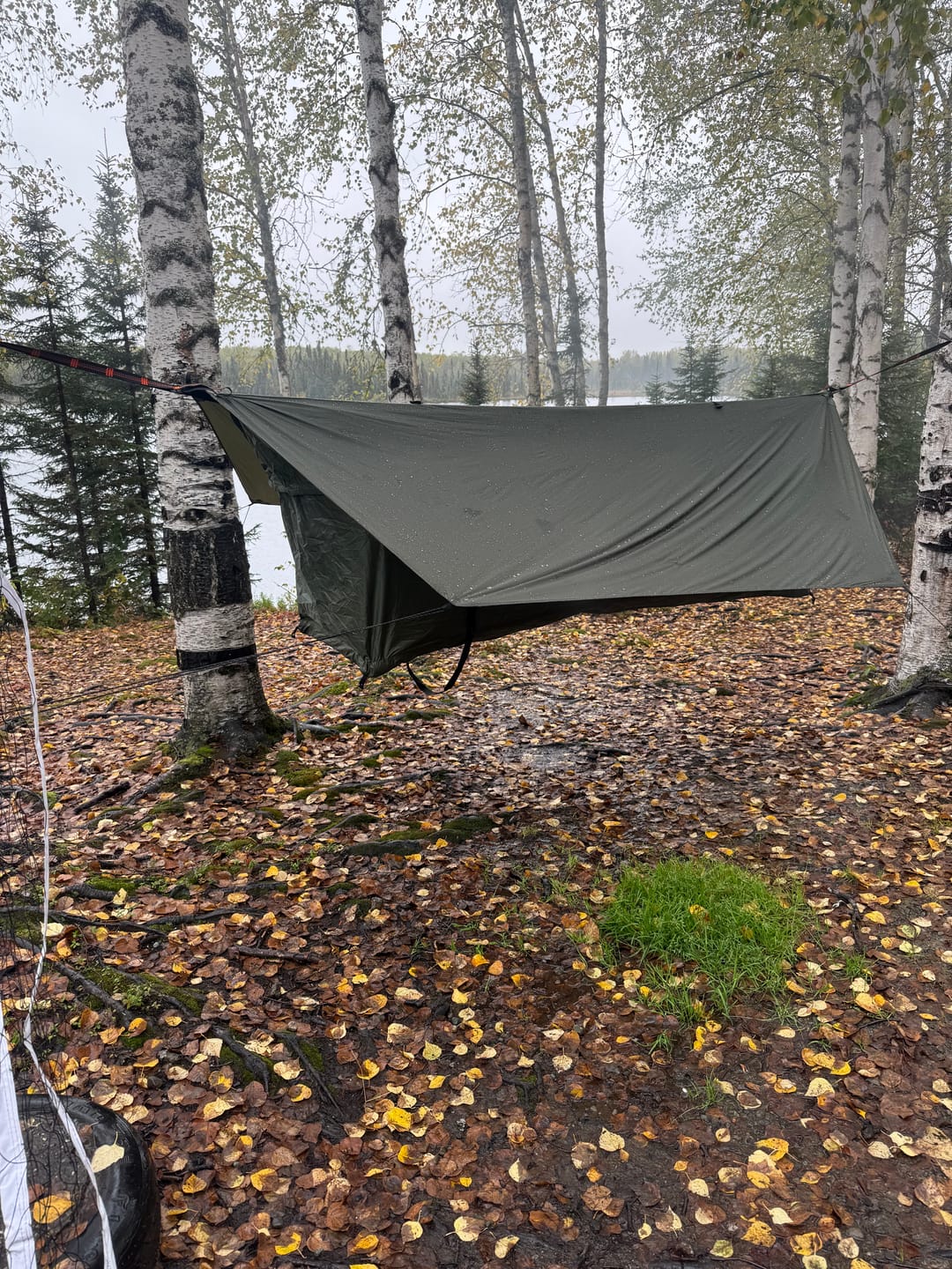 Customer photo review of Haven RidgeLight