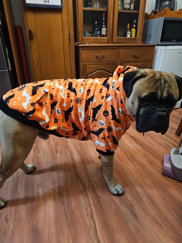 Customer photo review of Halloween Dog Hoodies (Limited Edition)