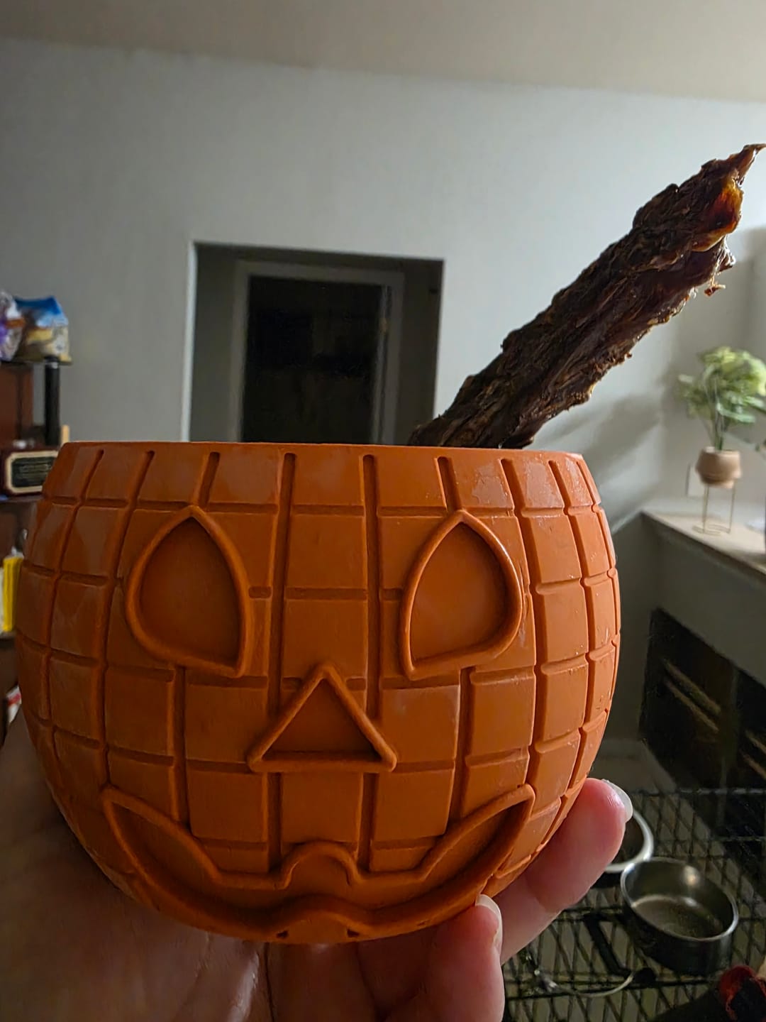Customer photo review of FreezPumpkin Limited Halloween Edition Dog Toy