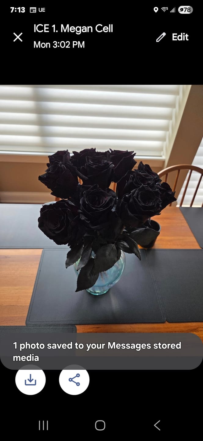 Customer photo review of Black Roses