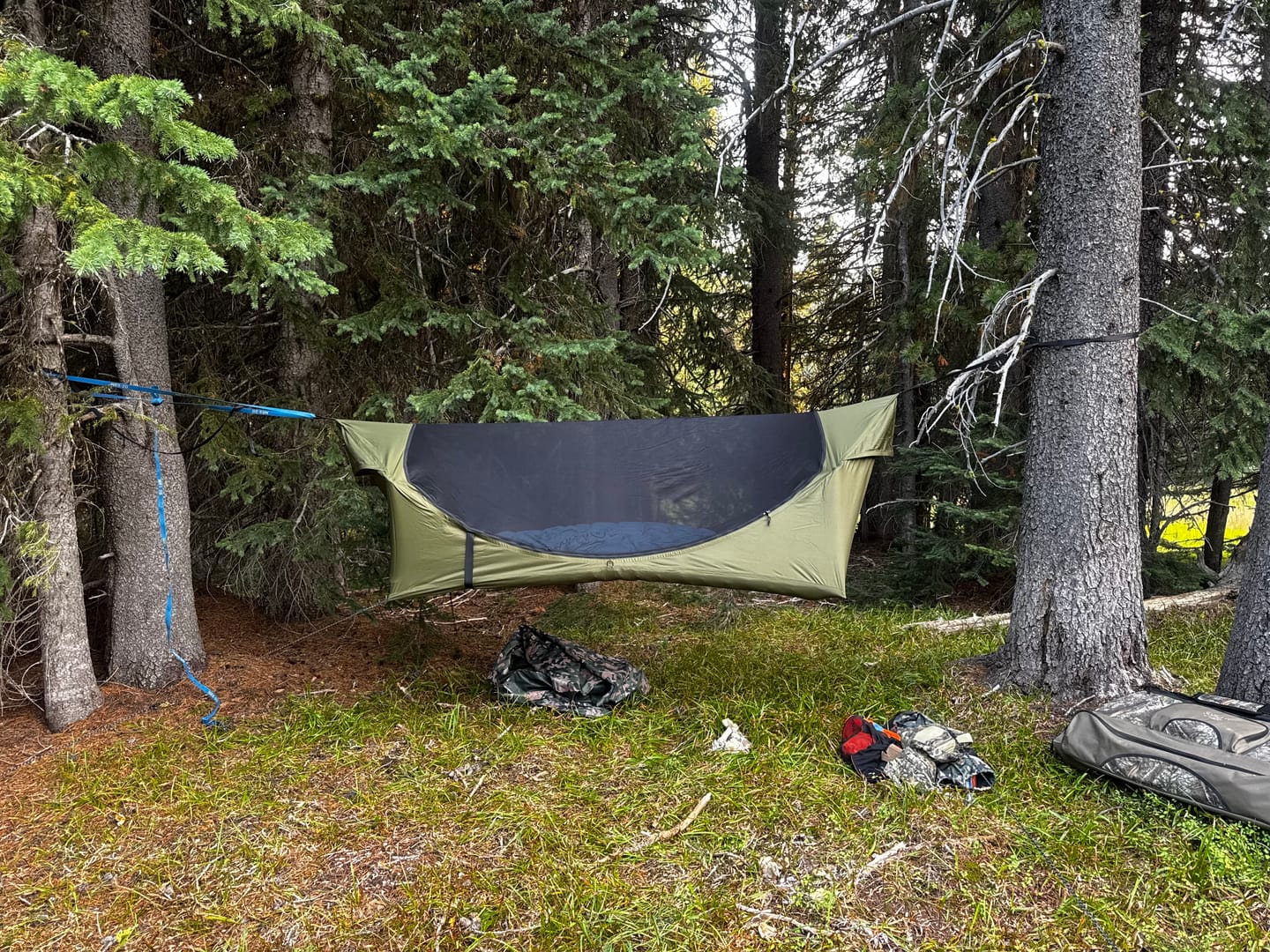 Customer photo review of Haven RidgeLight