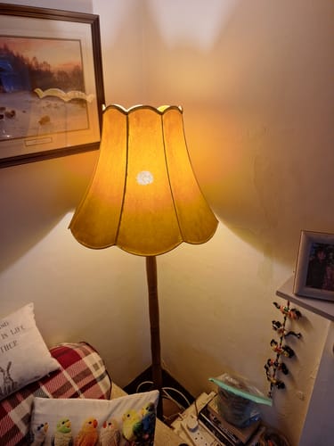 Customer photo review of Fabric Paint -- Mustard Yellow