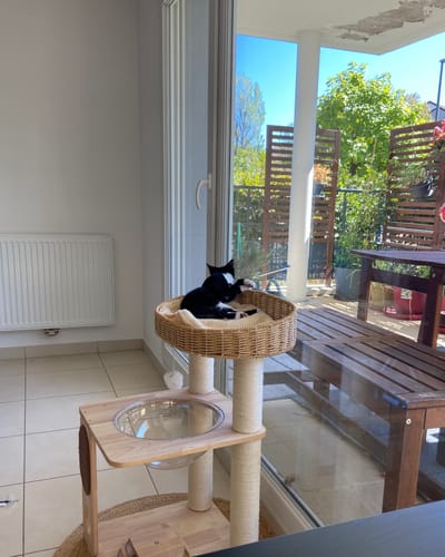 Customer photo review of Arbre à chat - Citadelle Miauleuse