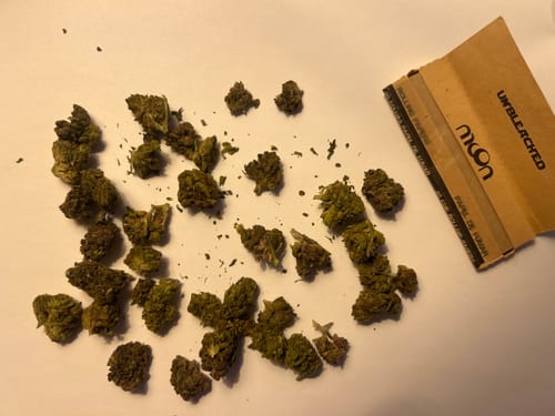 Customer photo review of Jealousy