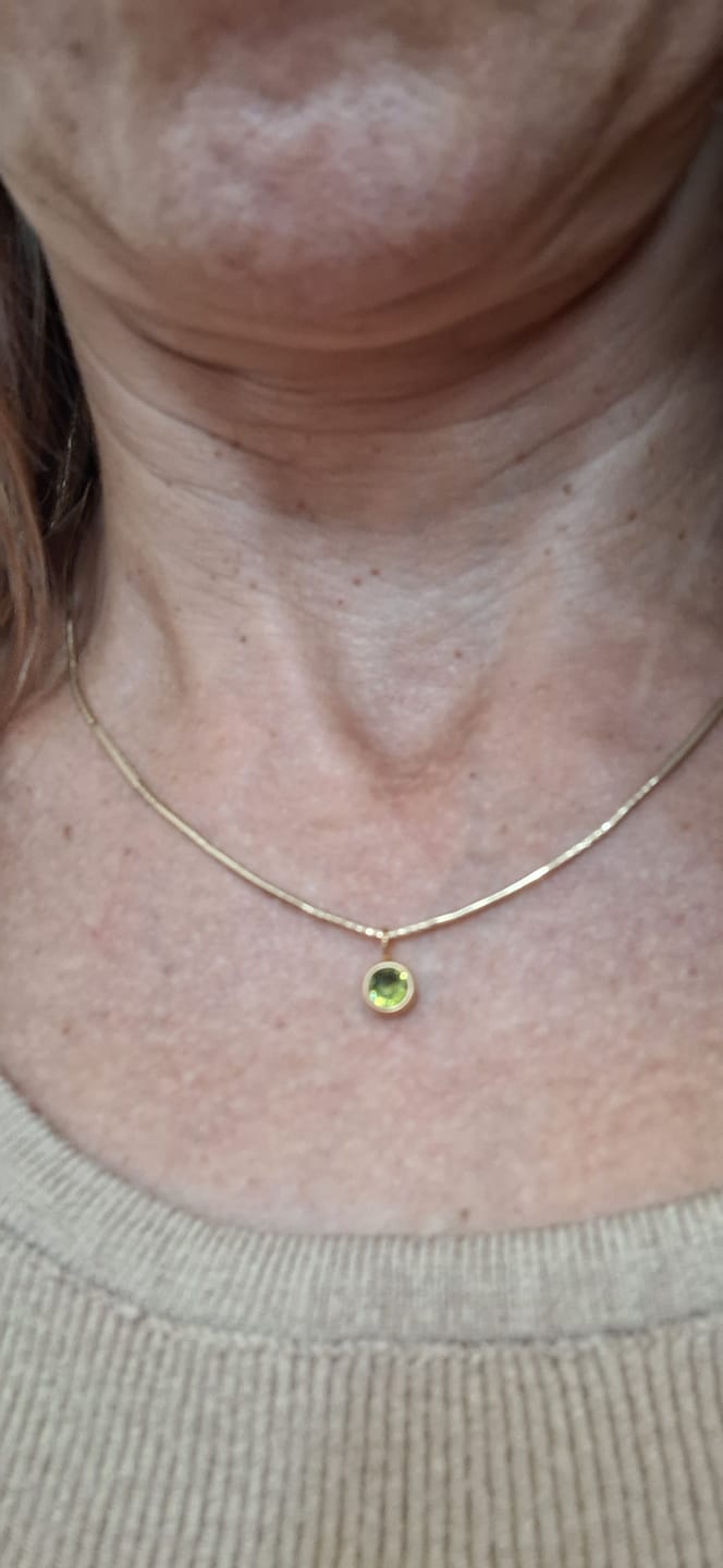 Customer photo review of Collar Colores del año