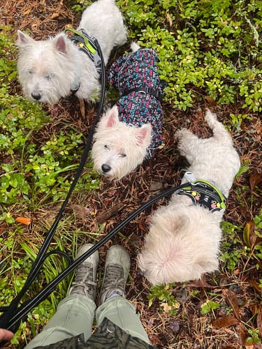 Customer photo review of Vaistoa Uoma 2 -paljasjalkavaelluskengät