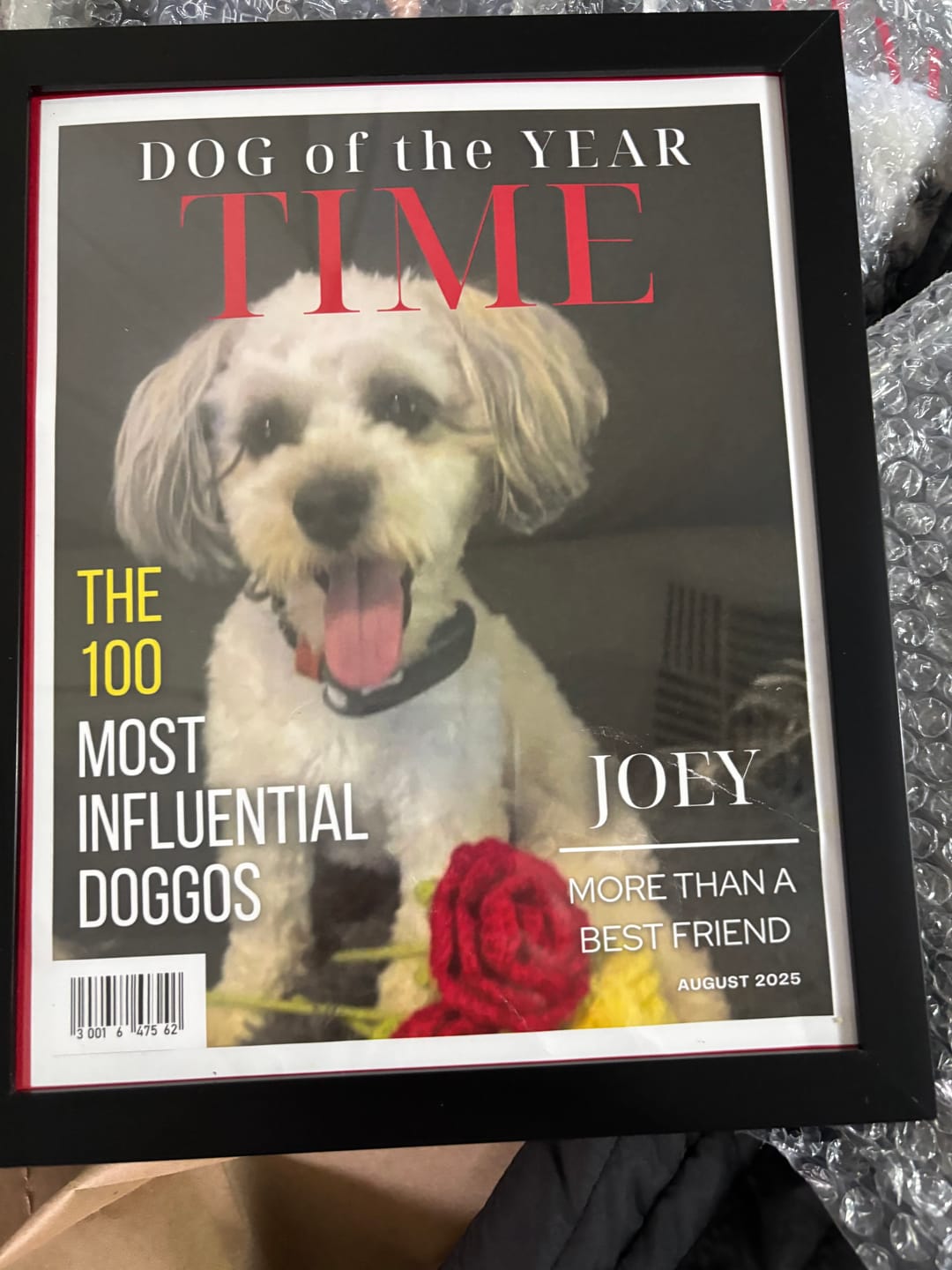 Customer photo review of Pet Portrait Magazine Cover