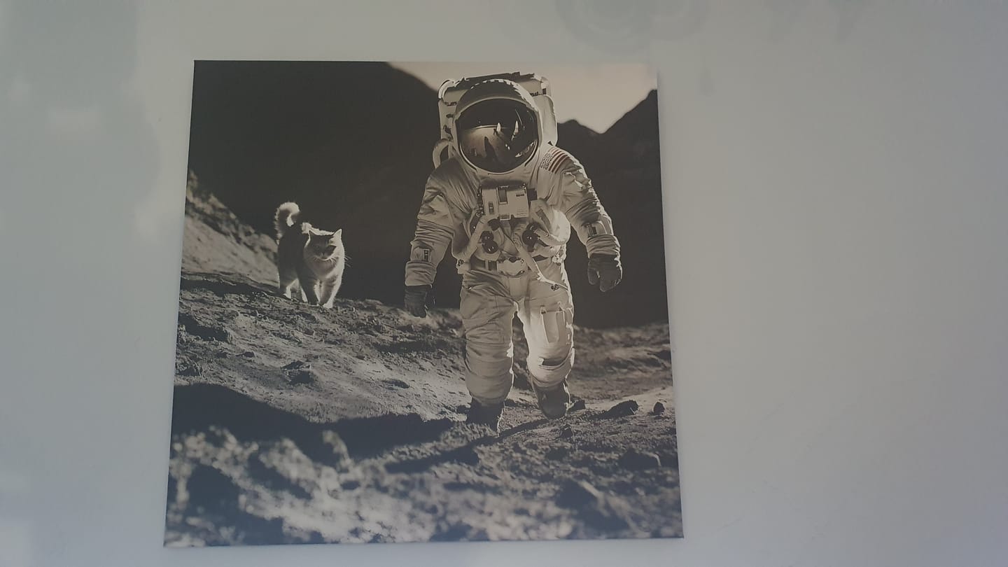 Customer photo review of Tableau Espace Astronaute avec Chat - Décoration Murale Design