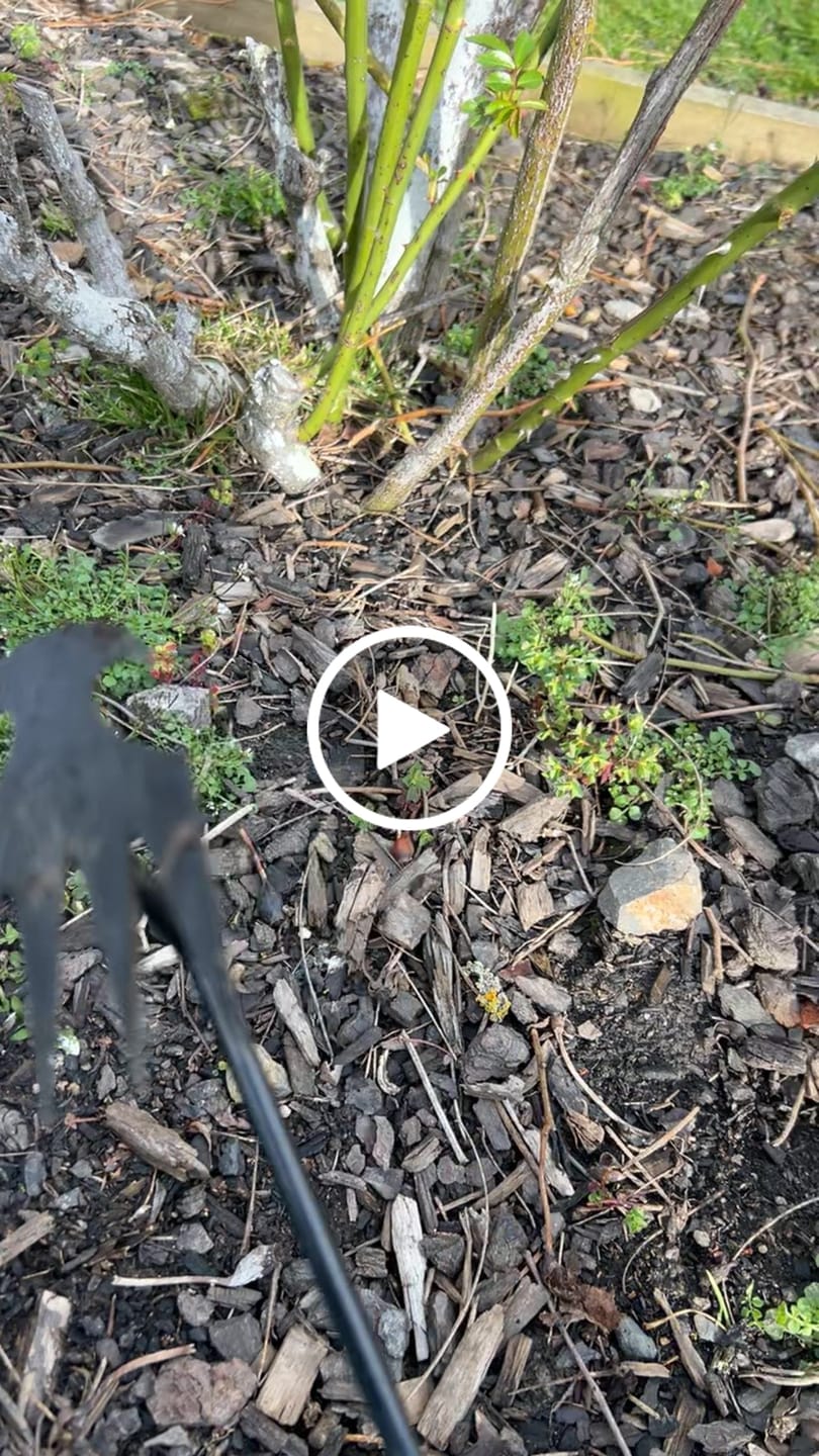 Customer video review of GardenMate™ - Uprooting Tool