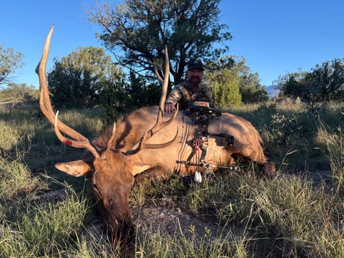 Customer photo review of 2.0in 150g Stainless Steel Broadheads