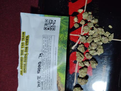 Customer photo review of White Rhino THCA Flower