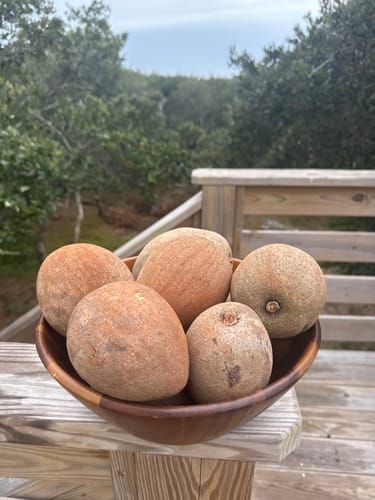 Customer photo review of Mamey