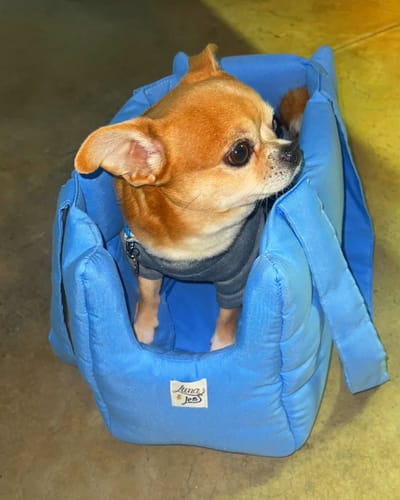 Customer photo review of Borsa Cotone Siena Azzurro