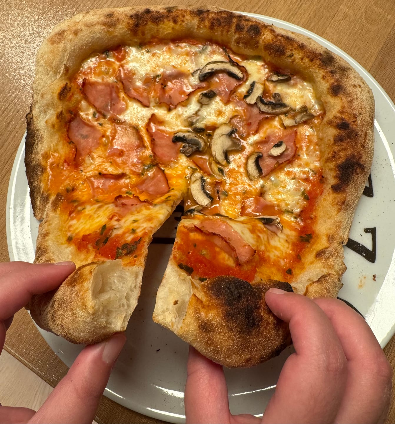 Customer photo review of Pizzaofen EffeUno P134HA PRO 509°C