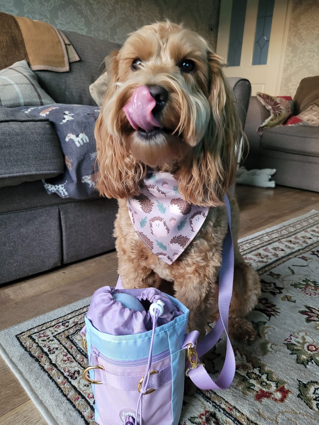 Customer photo review of Treat Pouch