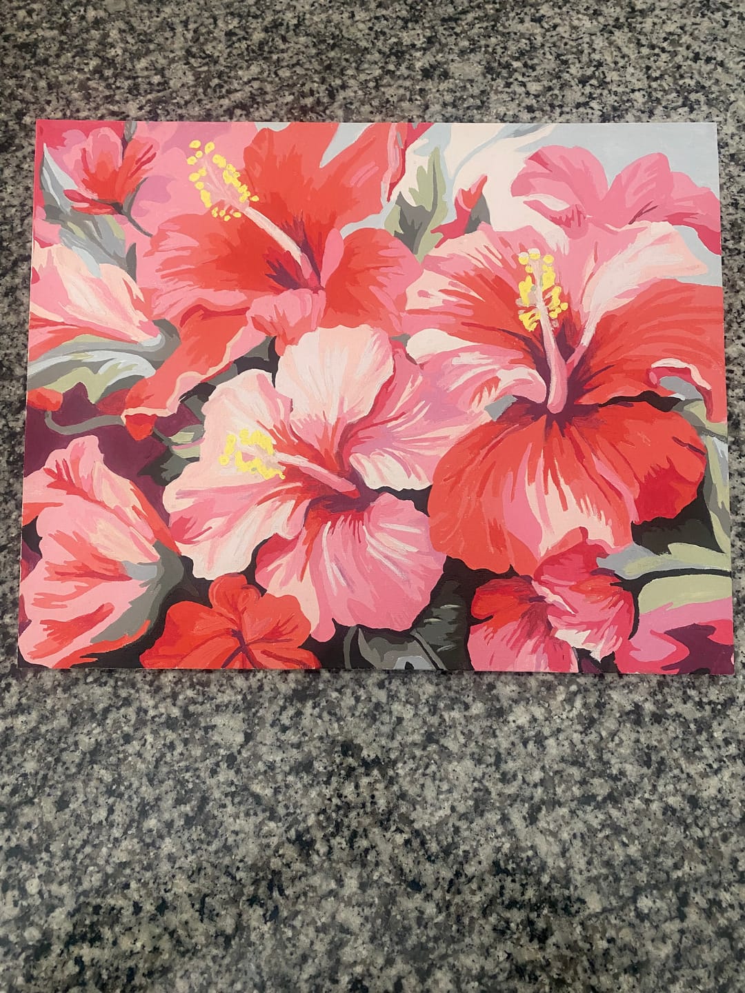 Customer photo review of Hibiscus Harmony