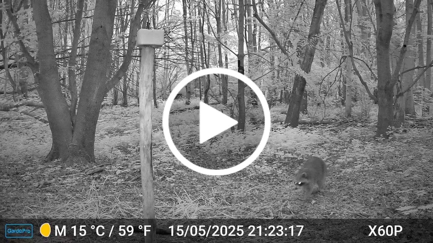 Customer video review of GardePro X66 Pro Cellular Trail Camera