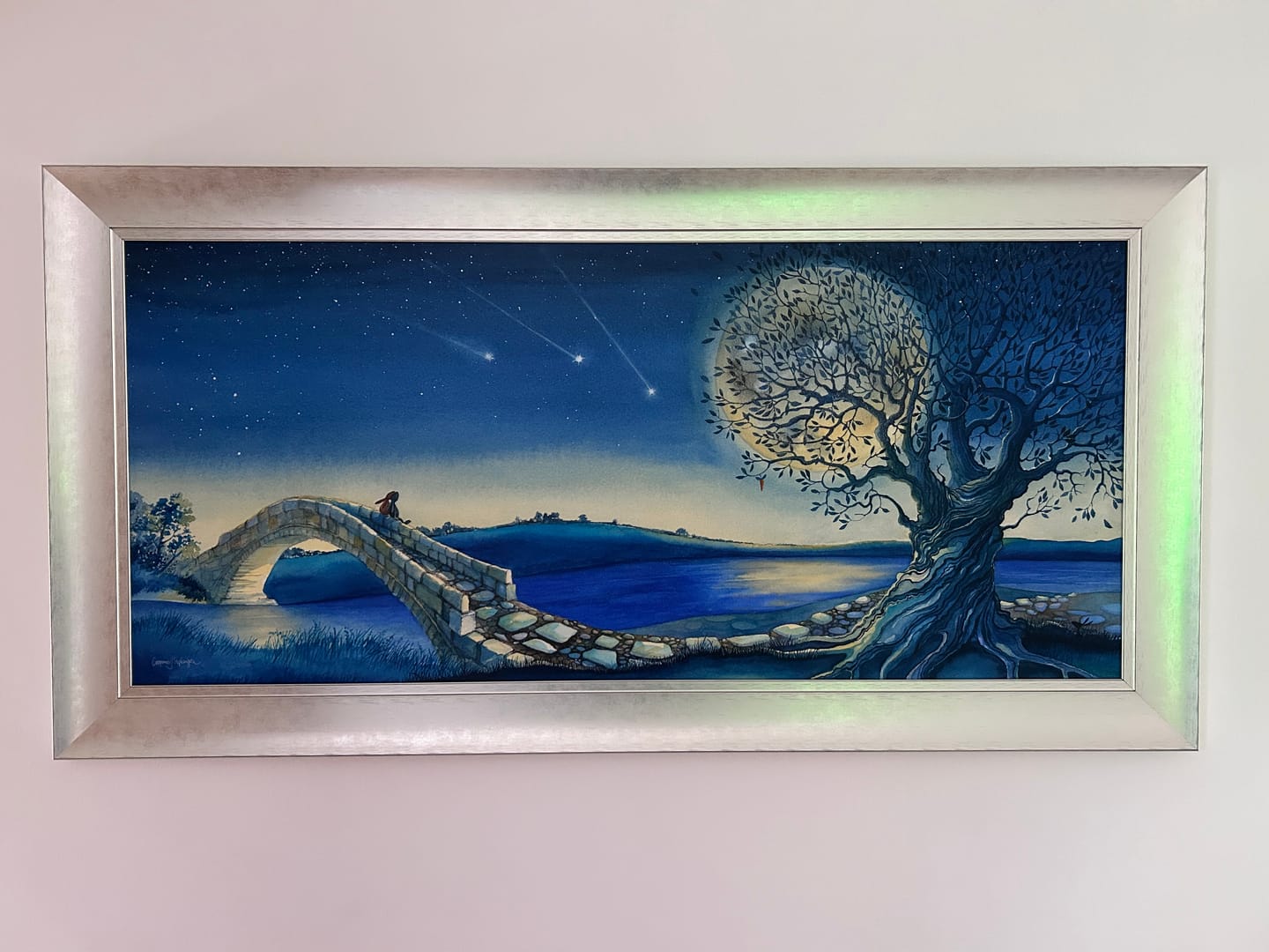 Customer photo review of Over The Moon Glow In The Dark Version By Catherine Stephenson IN STOCK LAST 1.