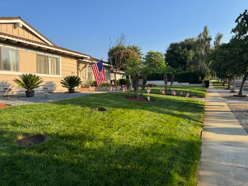 Customer photo review of 16-21-2 GreenePOP