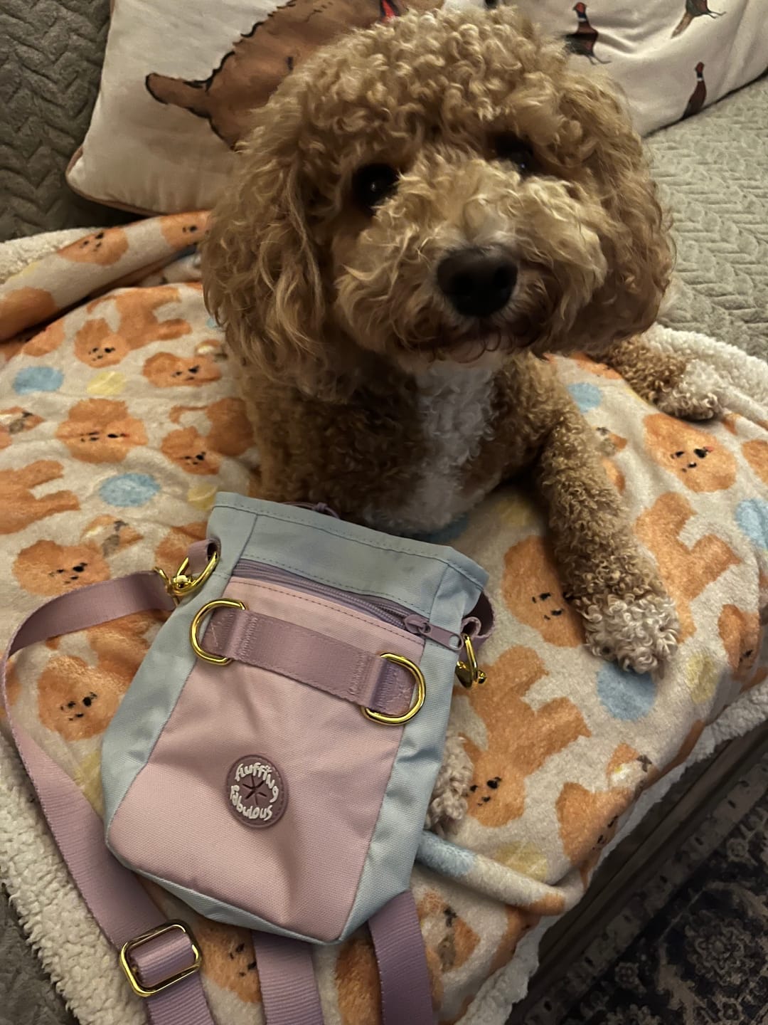 Customer photo review of Treat Pouch