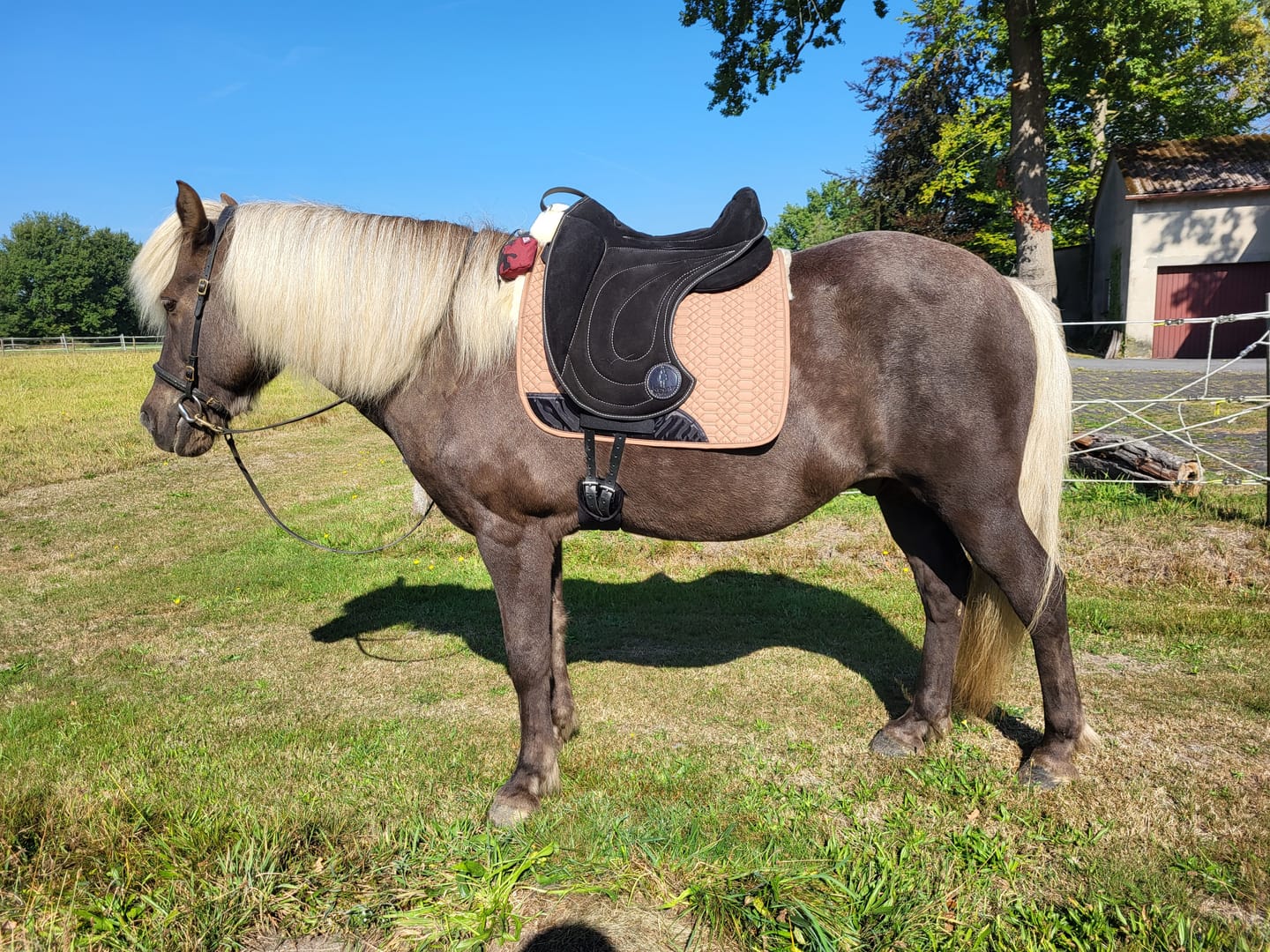 Customer photo review of Engel - Korrektur Aufpolster Schabracke