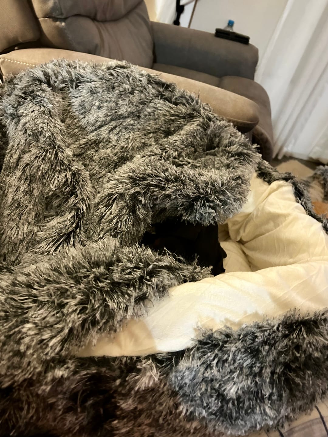 Customer photo review of Pet Cave Dog Bed - Removable Cover