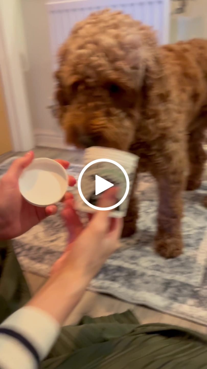 Customer video review of Soothing Ear Wipes for Dogs 100 Pre-soaked & Biodegradable Wipes