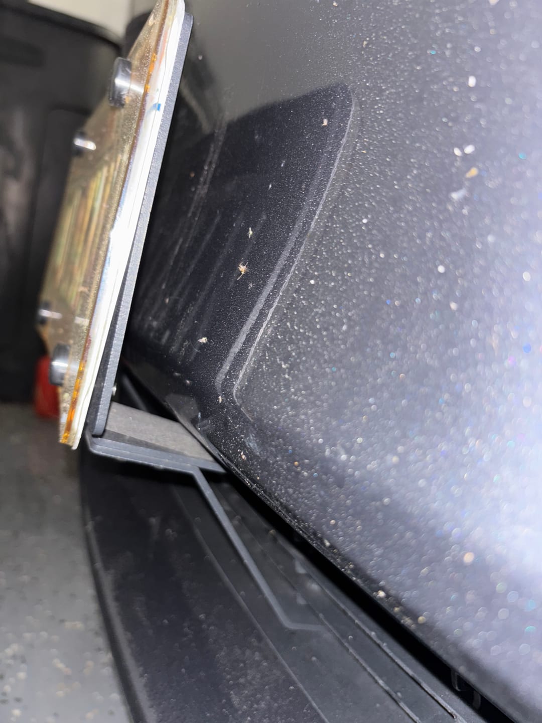 Customer photo review of EVAAM® No Drill Front License Plate Frames Covers for Tesla Model 3/Y (2017-2023)
