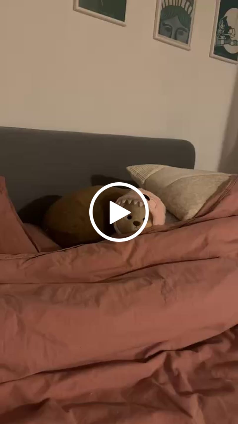Customer video review of Pink Dino