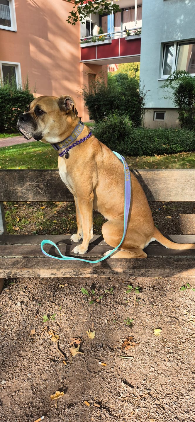 Customer photo review of Hundkoppel med namn
