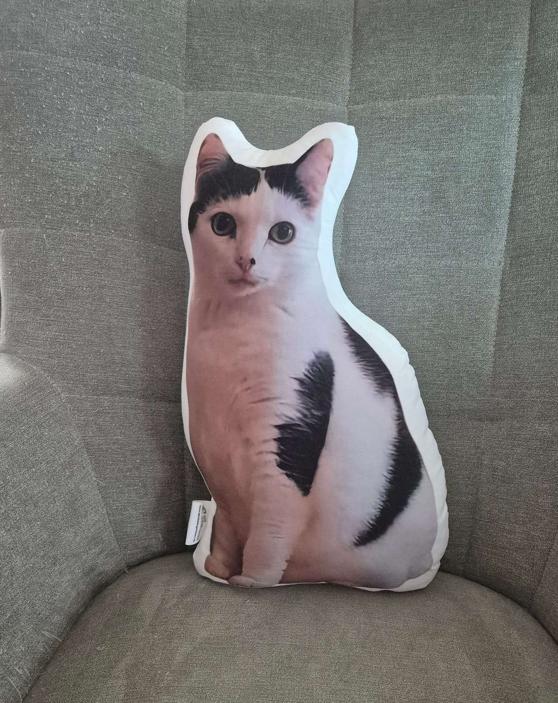 Customer photo review of Personalisiertes Katzenkissen